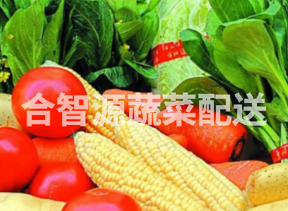 專(zhuān)業(yè)食材配送