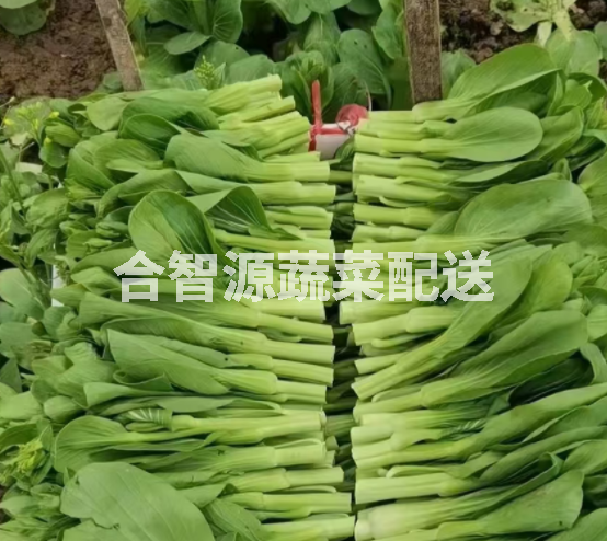 重慶大渡口蔬菜配送服務(wù)